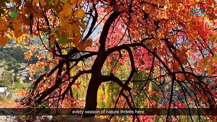 Tourism in Pakistan. What an amazing video!