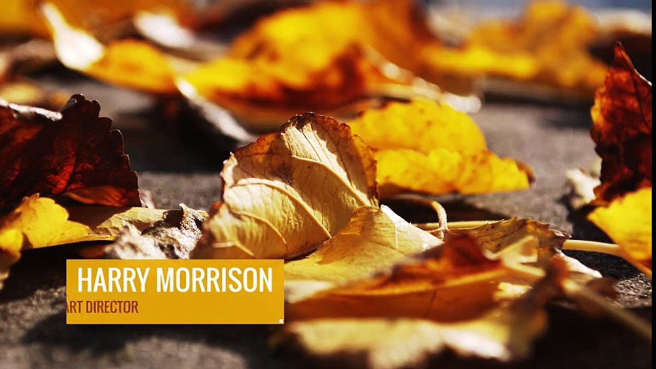 Lower Thirds Flashing Squares — After Effects project - Videohive template