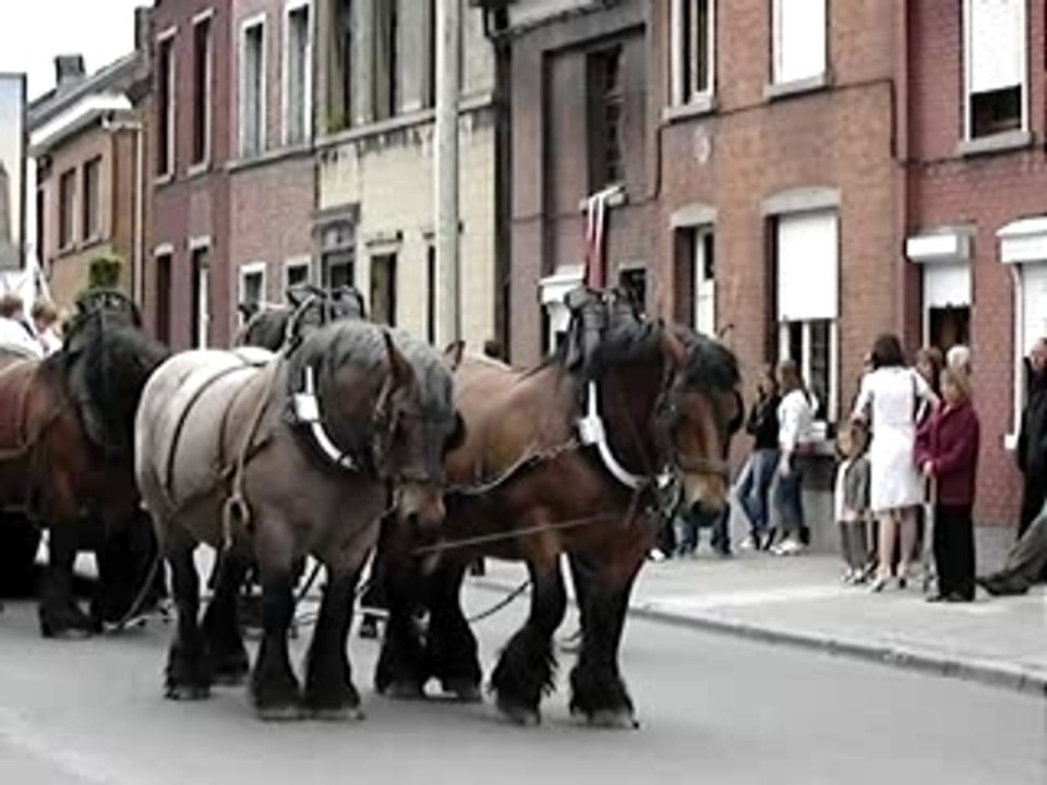 Soignies procession historique 3