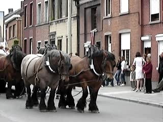 Soignies procession historique 3