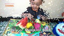 Learning to Know Fruit Watermelon, Avocado, Orange, Guava, Mangosteen, and Dragon Fruit Belajar Mengenal Buah Semangka,