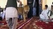 LION LOVE WITH HUMAN,Very interesting video clip (Funny Videos 720p)