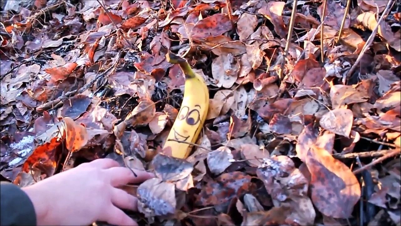 BananaBaby