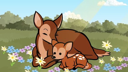 The Forest - Cyanide & Happiness Shorts