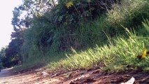 Mountain bike rural, busca das cachoeiras do Vale do Paraíba, SP, Brasil, 2016, 46 km, Equipe de bikers, Marcelo Ambrogi