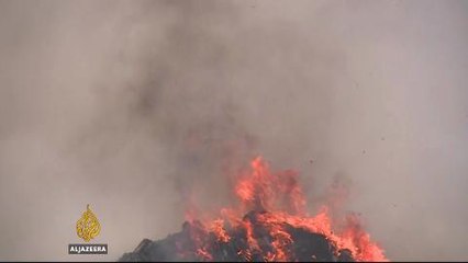 Pollution in Afghanistan kills thousands every year