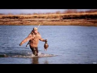 Hunting Sea Ducks on the Coast