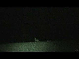 Coyote Hunting with the FoxPro