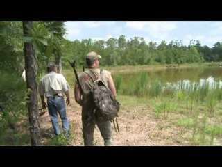 Bowhunting Alligators in Florida