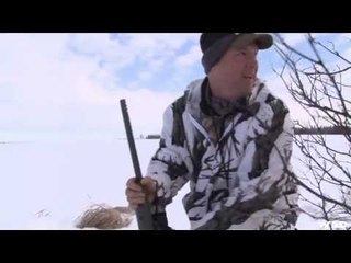 Hunting Coyote in Alberta Part 1
