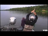 Fly Fishing for Brown Trout at Fort Babine Lodge