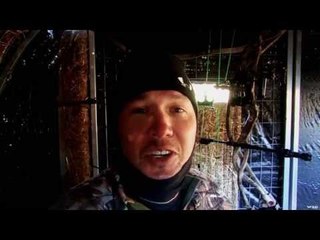 Hunting Wild Turkey with Bow