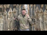 Hunting Coyote in Texas