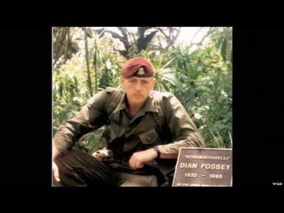 Hunting Heros