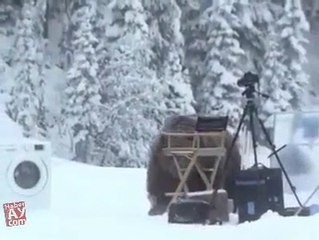 amazing advertisment