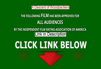 A Descent of Woodpeckers Full Movie Online (2004)