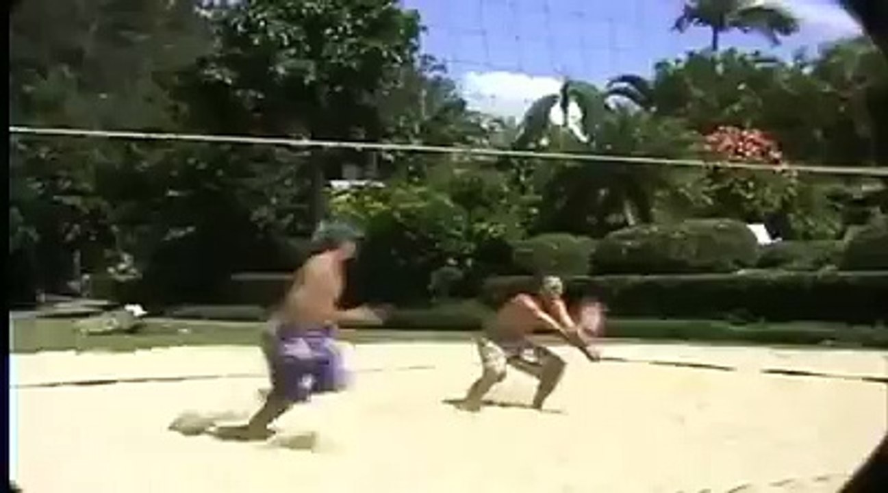 OMG: Looking Dog Playing Baseball