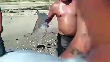 Funny Fish Prank