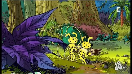 Marsupilami - Ciel mon Marsu