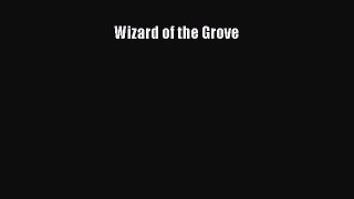 Read Wizard of the Grove Ebook Free