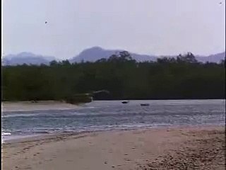 Aircraft Crash landing