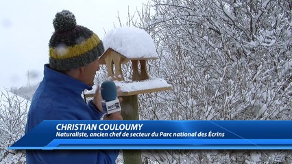 D!CI TV : L'hiver venu, les animaux s'adaptent