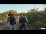 Hunting Elephants in Namibia