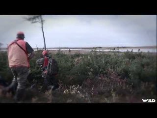 Hunting Caribou in Northern Manitoba