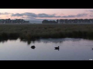 Mojo Outdoors TV - Duck Hunting in the Summer
