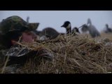 Hunting Canada Goose with MOJO Outdoors