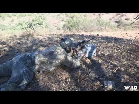 Hunting Coues Deer in Arizona