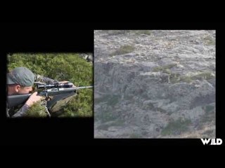 Hunting Elk in the New Mexico Rockies