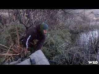 Duck Hunting on The Banks Of The Snake River