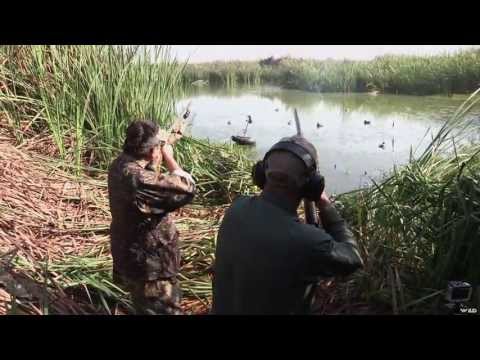 Duck Hunting in Peru