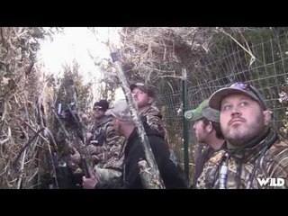 Hunting Mallards in Kansas
