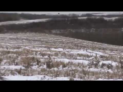 Hunting Coyotes in Canada