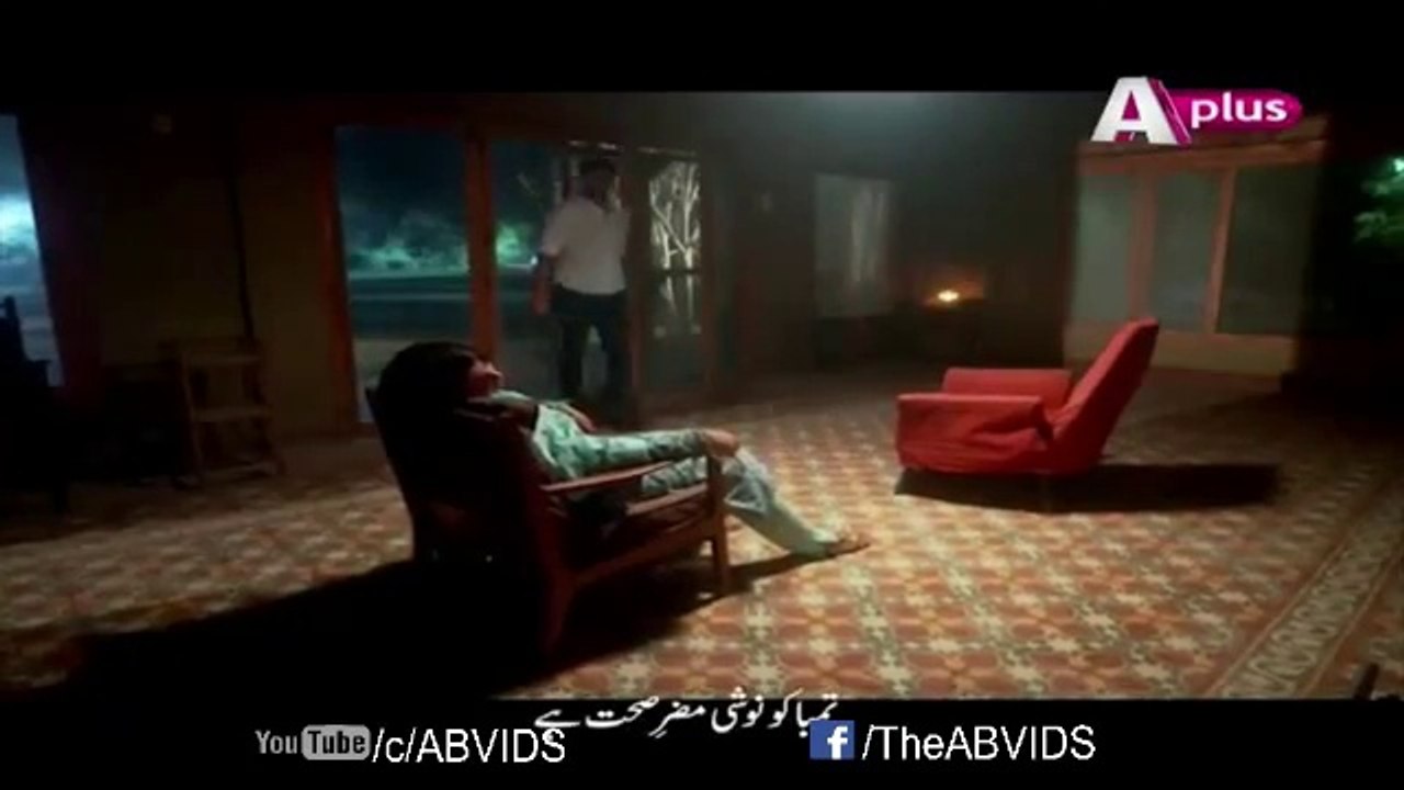 bheegi-palkein-episode-14-on-aplus-pakistani-dramas-online