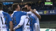 All Goals Italy  Serie A - 13.02.2016, ChievoVerona 1-1 Sassuolo Calcio