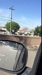 So my mom saw this on her way home from work..