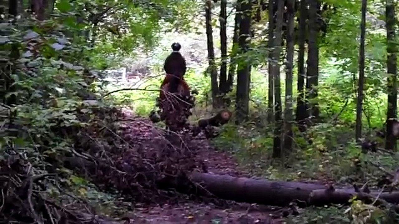 TOP Funny Arab Videos Fail Funny Arab Falling Pranks Video Clips slaps compilation New Funniest 2016 - DAILY MOTION