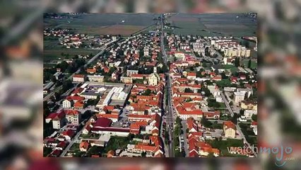 Topless Virgins, Beer Fountains & CryoBrains: The Dispatch Ep. 14 (World Music 720p)