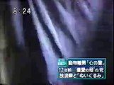 レッサーパンダ男の女子大生殺人事件 　☆創価員の犯罪☆ (World Music 720p)