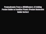 [PDF] Pennsylvania Trees & Wildflowers: A Folding Pocket Guide to Familiar Plants (Pocket Naturalist