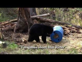 Hunting Spring Black Bear and Turkey