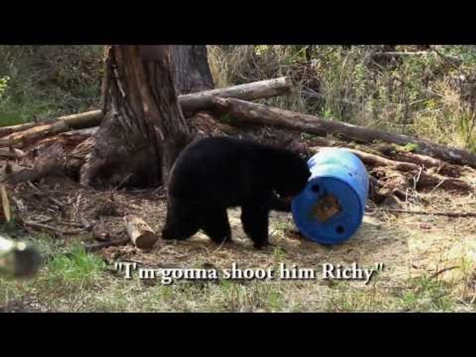 Hunting Spring Black Bear and Turkey