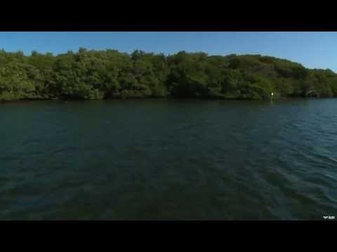 Salt Water Fishing in Tampa Bay Florida