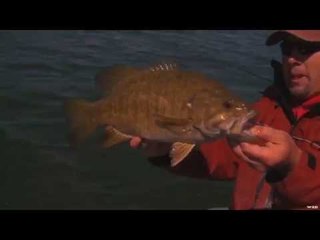 Small and Largemouth Bass in South Dakota