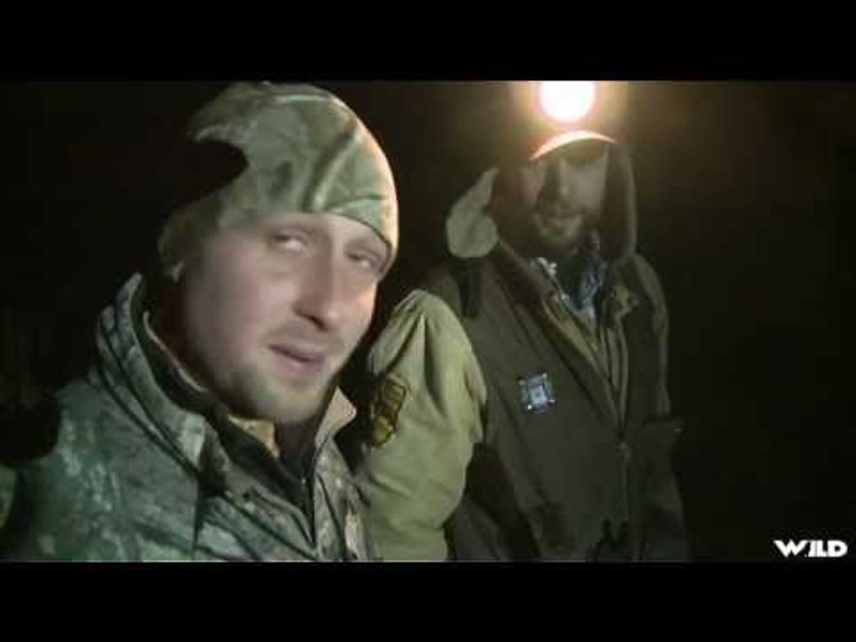 Racoon Hunt