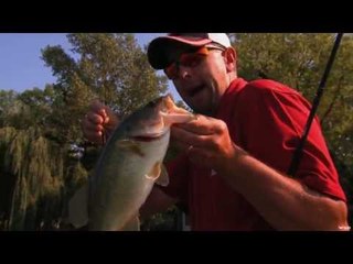Largemouth Bass Fishing in Weeds