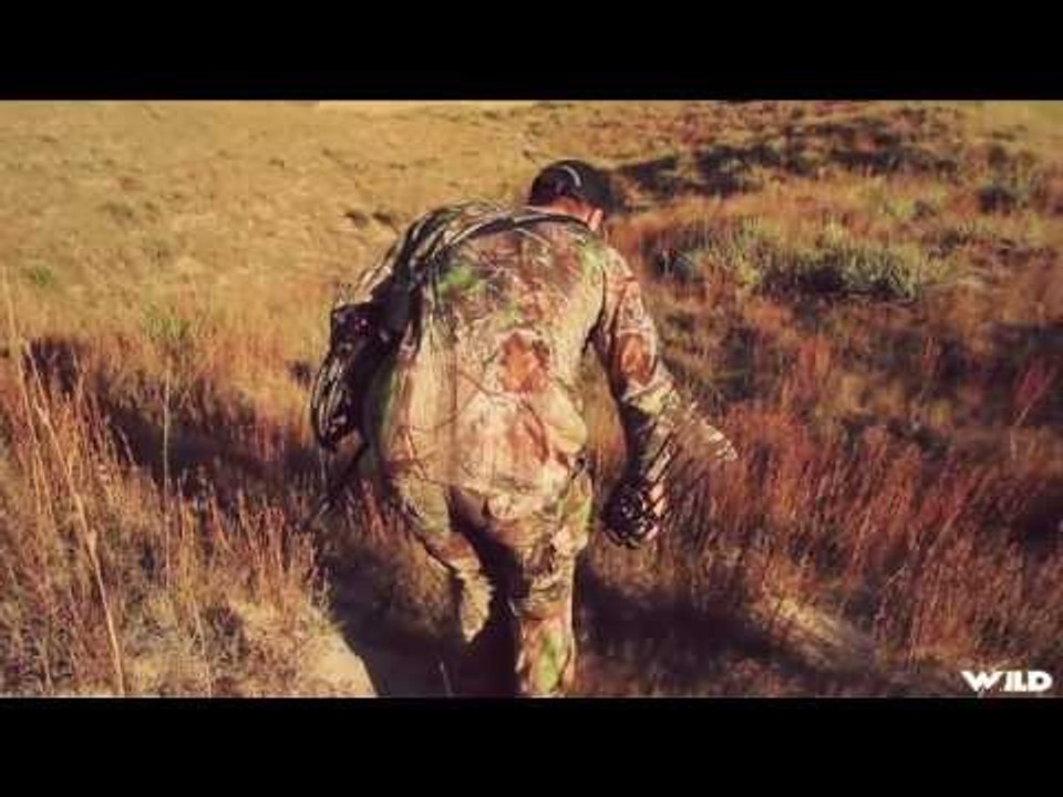Huge 8 Point White-tailed Deer Bowhunting In Sand Hills